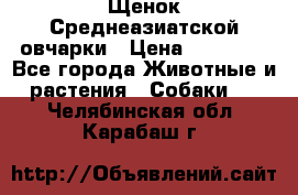 Щенок Среднеазиатской овчарки › Цена ­ 35 000 - Все города Животные и растения » Собаки   . Челябинская обл.,Карабаш г.